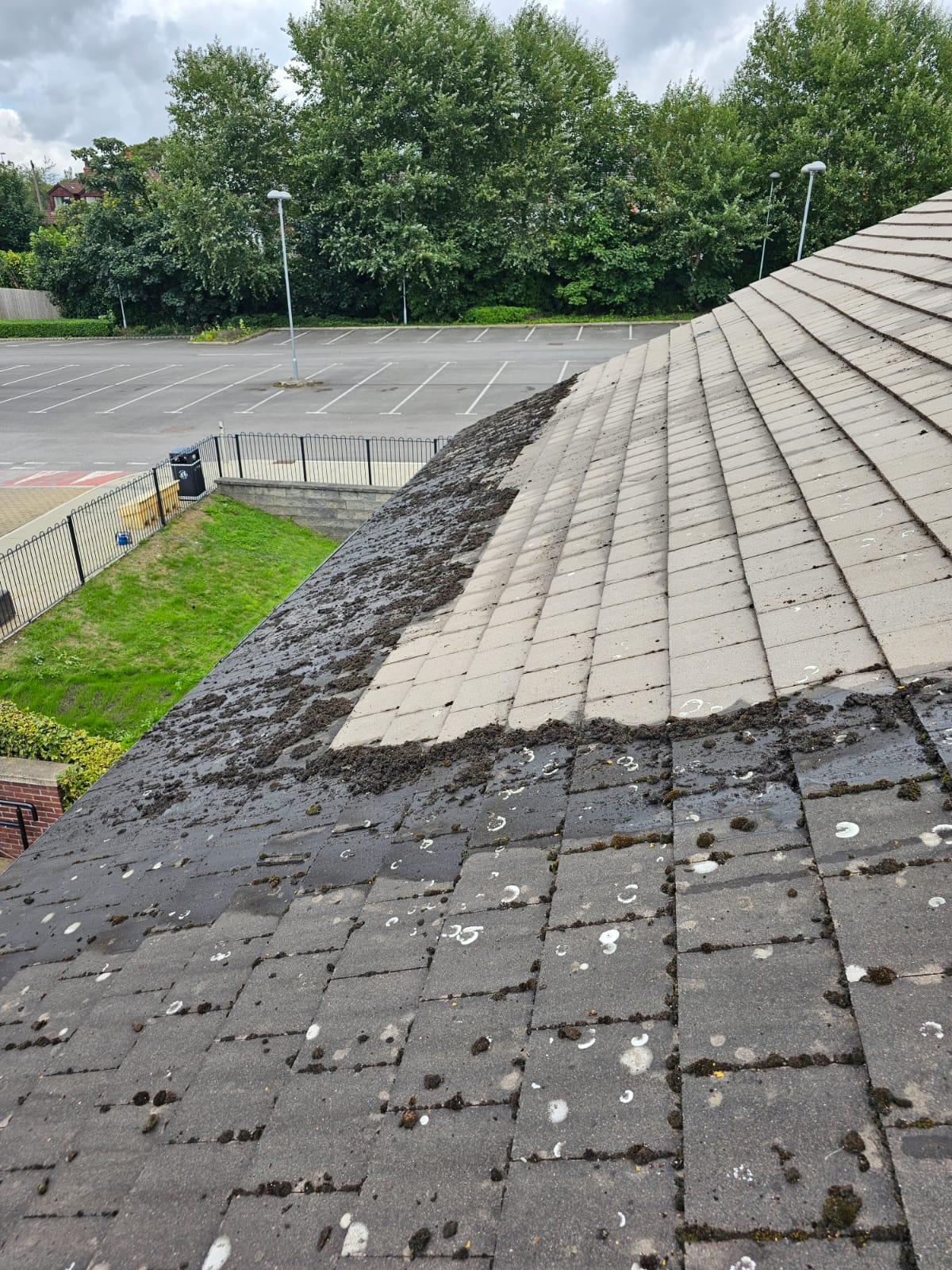 Roof cleaning in the Wirral, moss cleared from tiled roof
