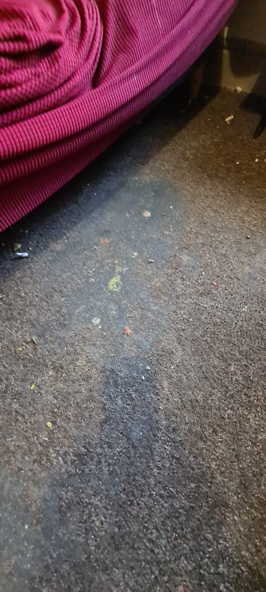 Dirty bedroom carpet before a Wirral carpet cleaning visit