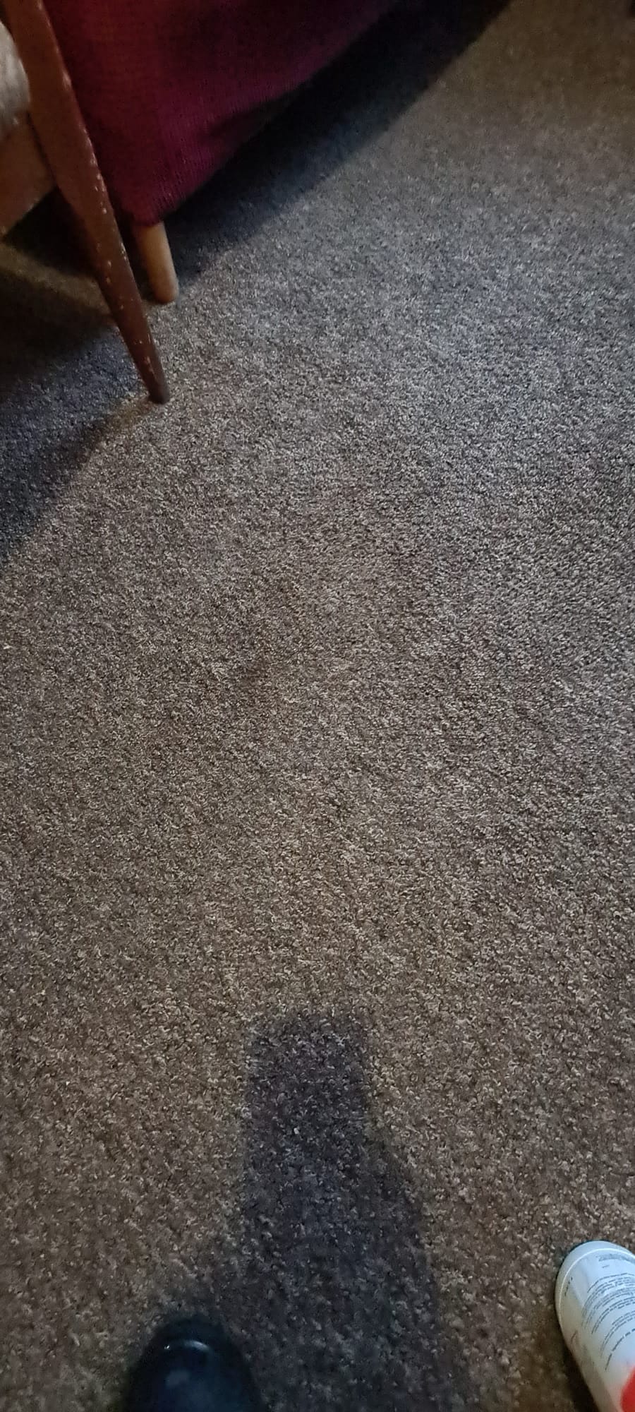 Office carpet cleaned and rinsed during a Wirral contract clean