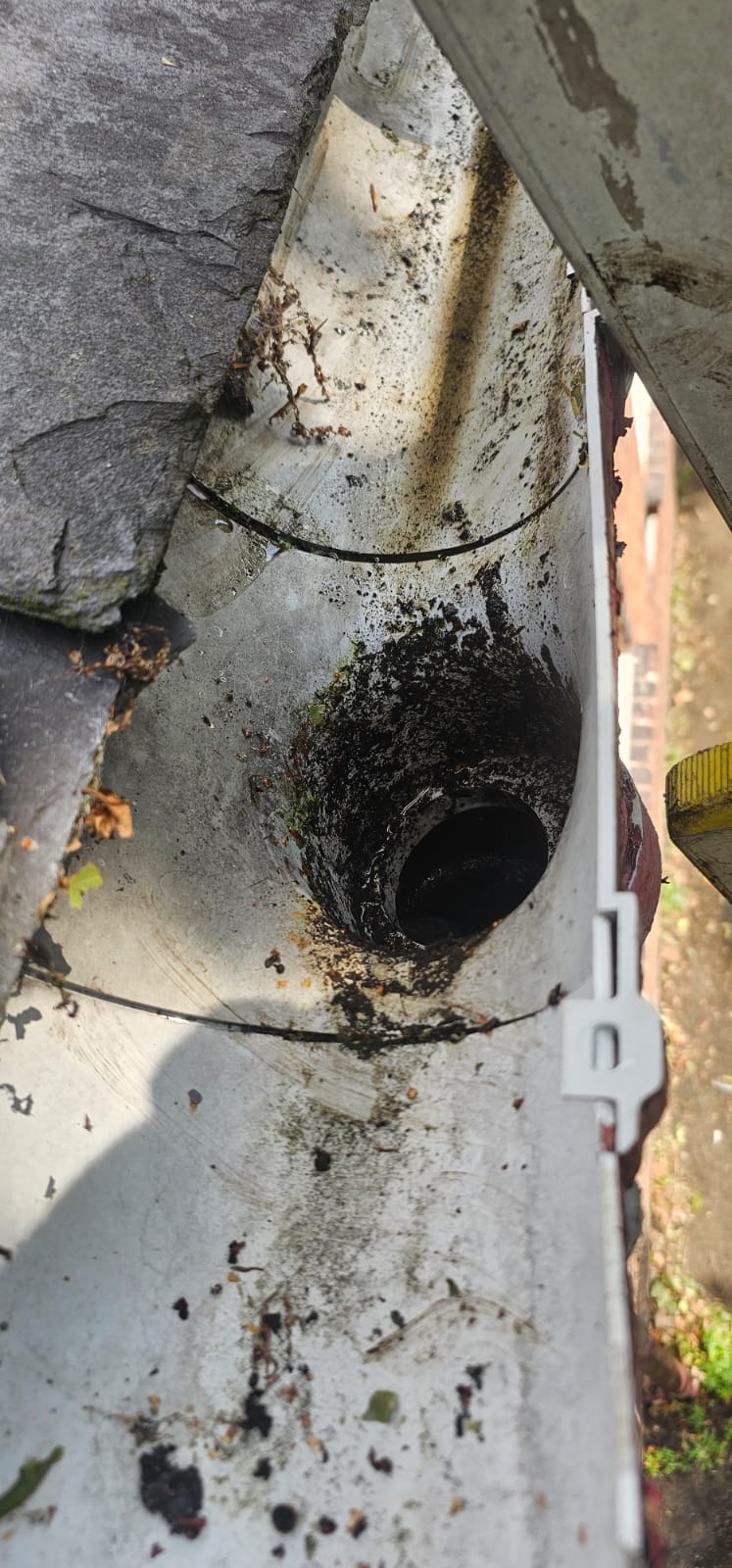 Gutter clearance in the Wirral, moss and leaves removed from a blocked gutter