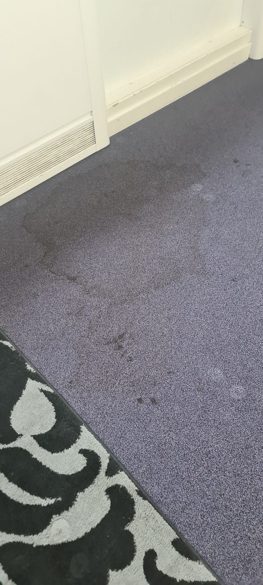 Purple carpet with staining before carpet cleaning in the Wirral