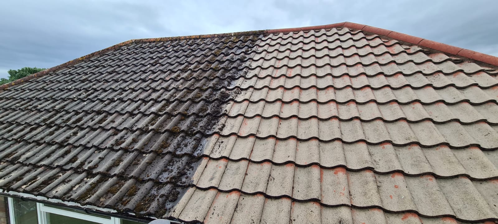 Cleaned terracotta roof tiles after de-mossing in the Wirral