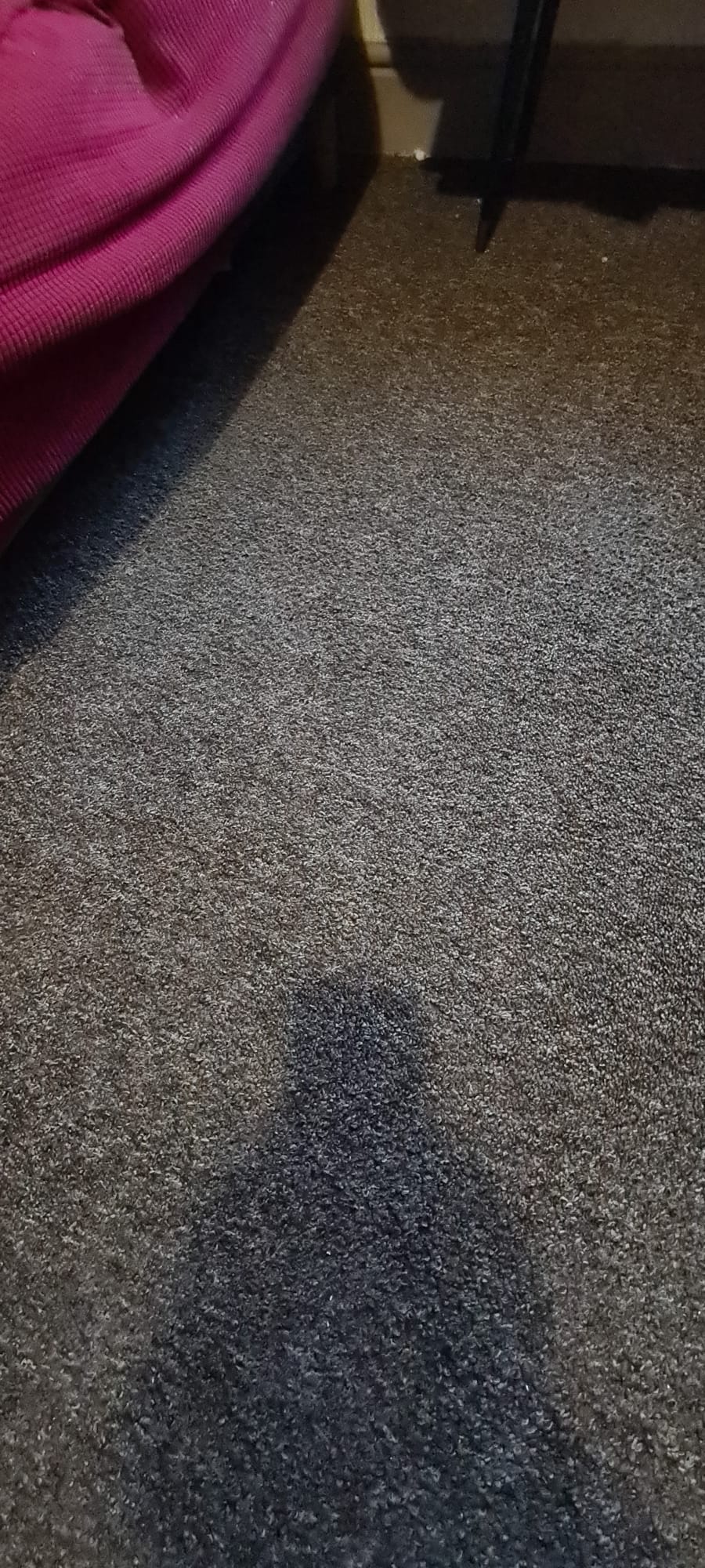 Truckmount carpet cleaning in progress on a Wirral home carpet