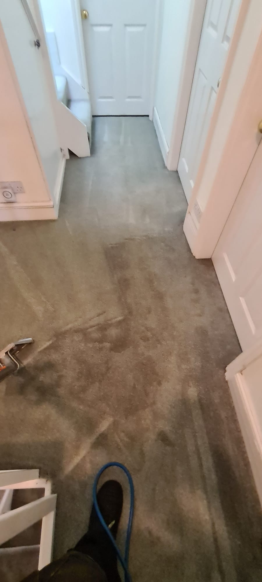 Deep cleaned carpet beside skirting in a Wirral property