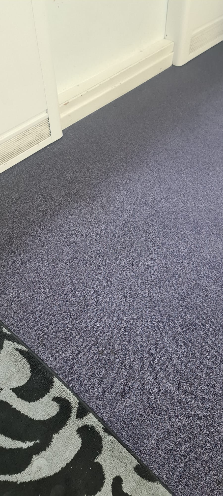 Purple carpet cleaned and refreshed in the Wirral