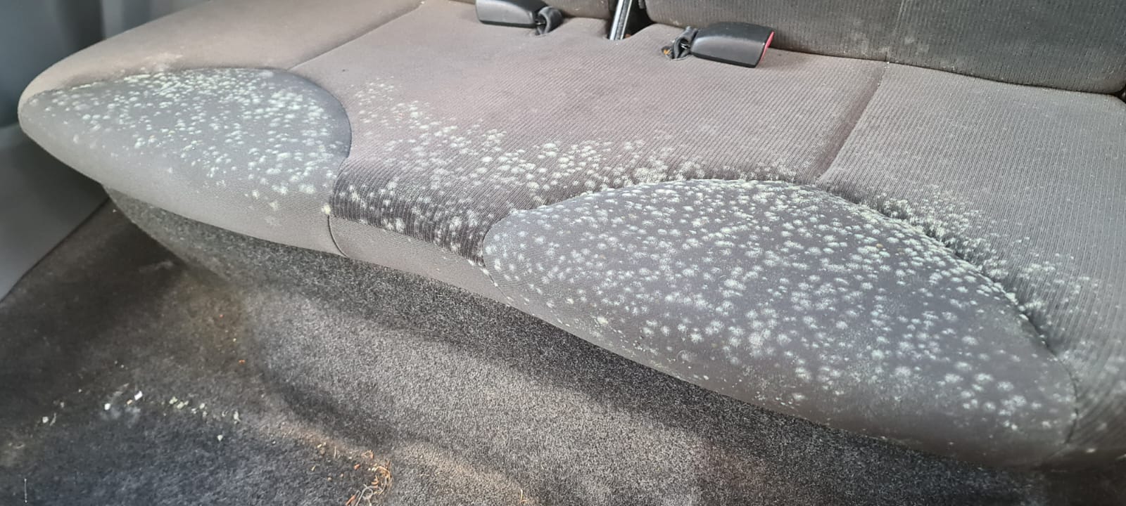 Marked car bench seat before upholstery cleaning in the Wirral